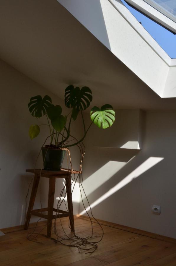 Poddasze Na Starym Podgorzu Apartment คราคูฟ ภายนอก รูปภาพ